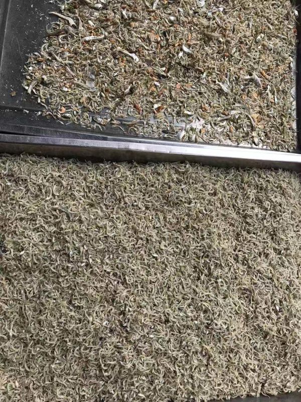 64 Kanal-optische sortierende Maschine für Garnelen-Feinverteilungs-Funktion