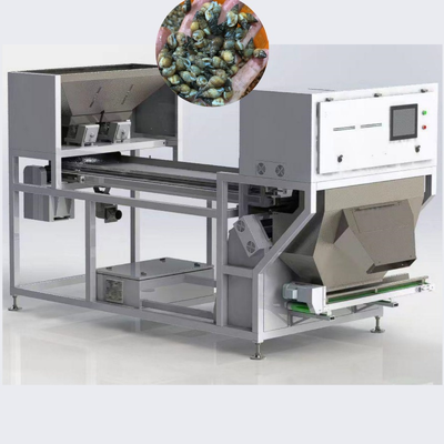 AI Deep Learning Schalentier Optical Sorter-Track-Type, für Meeresfrüchte.