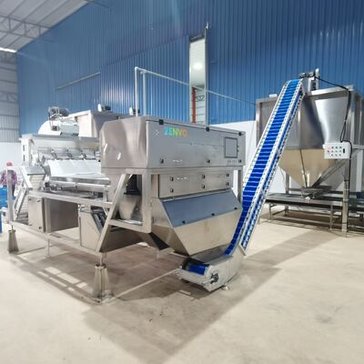 Intelligenter automatischer Cashew Shell-Kernel-Trennsorter mit Eindeckengürtel