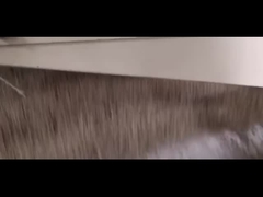 Korn-Vorreinigungsmittel entfernt große Verunreinigungen mit Staub und heller Verunreinigungsaspiration