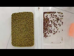 Sortieren nach Bohnenfarbe