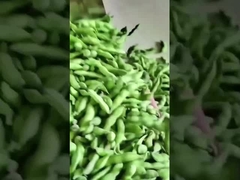 Edamame Farbsorter