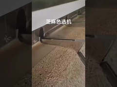 Sortierer des indischen Sesams Farb