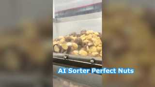 Ai Deep Learning Smart Macadamia-Farbsortiermaschine, 128 Kanäle.