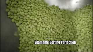 Bandfarbsortierer für gefrorene Edamame-Bohnen