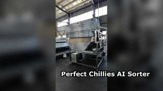 Farbsortierer vom Bandtyp