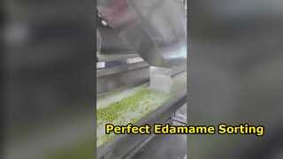 120 Raupen-Edamame-Farbsortierer