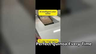 Hocheffizienter Farbsortierer für Premium-Quinoa