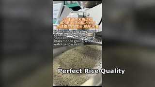 32-Kanal-Reisfarbsortierer für kleine bis mittlere Reismühlen.